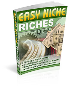 niche marketing book cover