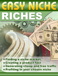 finding a niche market book cover