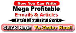 Order your writing manual here