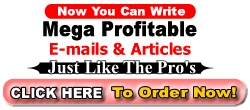 Order your email writing manual here